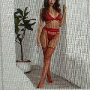❣️‼️3 Piece Garter Lingerie Set with Stockings BRAND NEW
